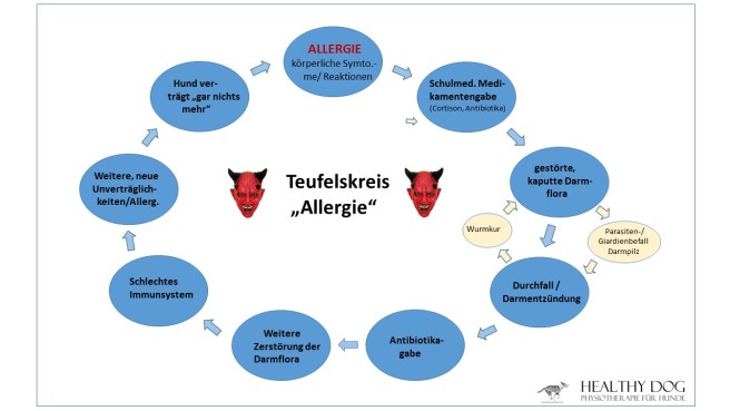teufelskreis_allergie_homepage
